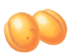 абрикосы-2